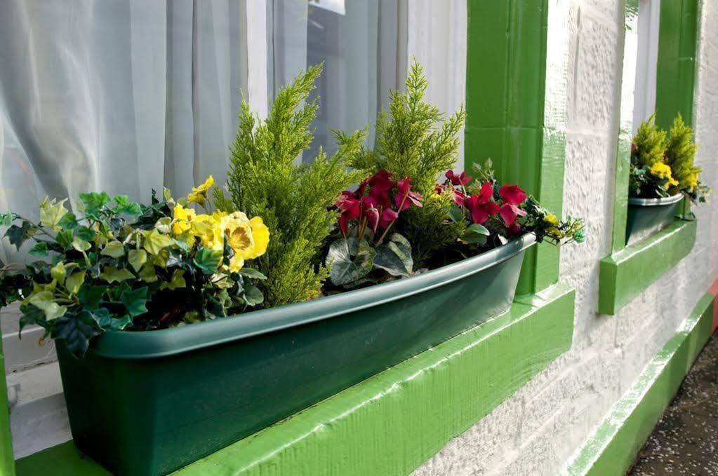 Daviot Guest House Ayr Extérieur photo